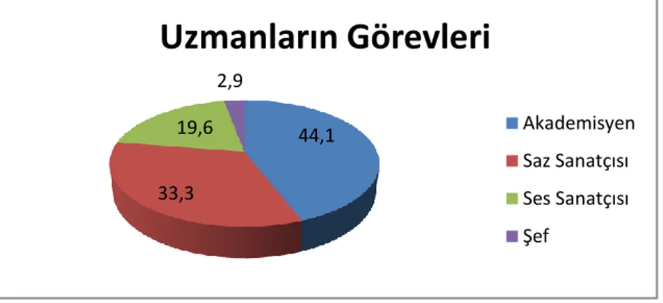 Şekil 40- Uzmanların Görev Dağılımları 