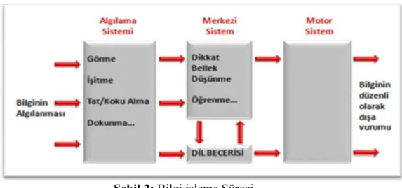 Şekil 2: Bilgi işleme Süreci  