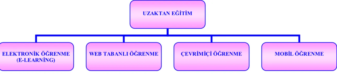 Şekil 1. Uzaktan Eğitim Modelleri 