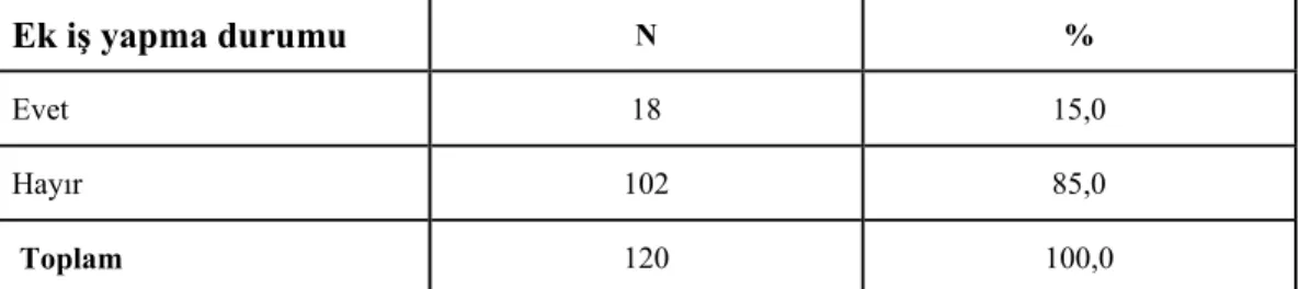 Tablo 3.8. Öğretmenlerin Bir Ek İşte Çalışma Durumlarına İlişkin Bulgular 