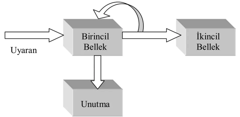 Şekil 11. Waugh ve Norman’õn (1965) bellek modelinin uyarlanmasõ (Solso  ve diğerleri, 2007, s