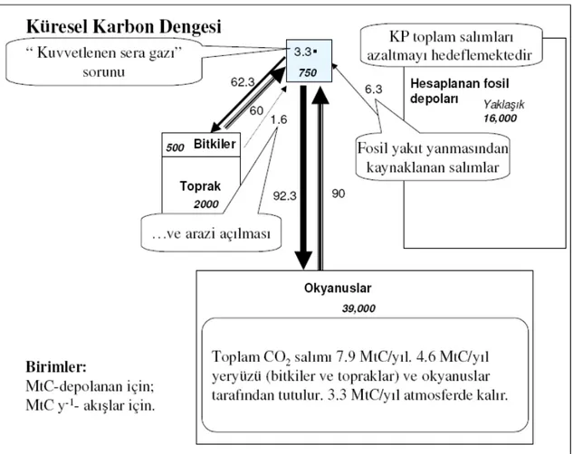 Şekil 2.5: Küresel Karbon Döngüsü ve İnsan Kaynaklı Sera Gazı Salımlarının  Küresel Karbon Dengesinde Yaptığı Değişiklikler  