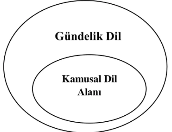 Şekil 2. Gündelik dil-kamusal dil ilişkisi 