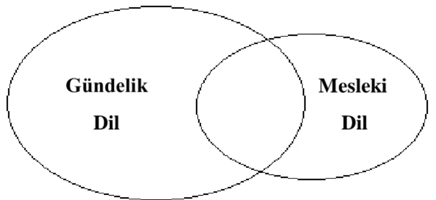 Şekil 4. Gündelik dil-mesleki dil ilişkisi 