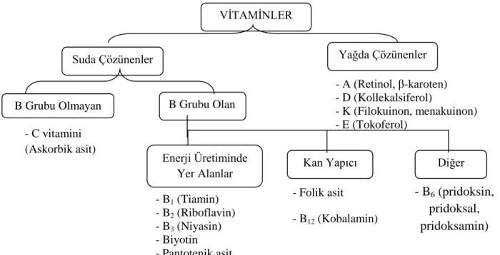 Tablo 1.1. Vitaminlerin Sınıflandırılması (Aksoy, 2008)  VĠTAMĠNLER  Yağda Çözünenler  Suda Çözünenler  B Grubu Olan  B Grubu Olmayan  Enerji Üretiminde  Yer Alanlar 