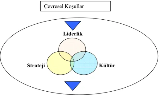 Şekil 1. Örgütsel Zekâ Modeli 