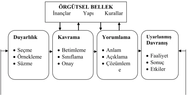 Şekil 3 . Örgütsel Öğrenme Süreci 