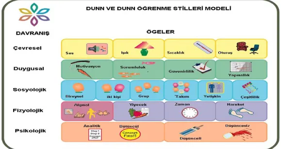 Şekil 5. Dunn ve Dunn Öğrenme Stilleri Modeli 