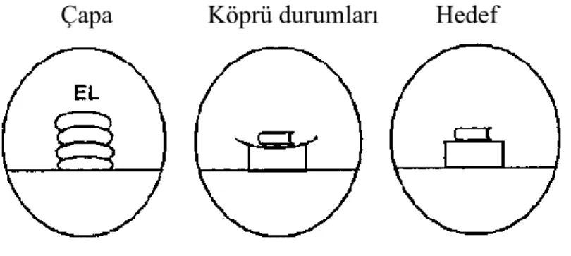 Şekil 4. Bir Analoji Örneği  