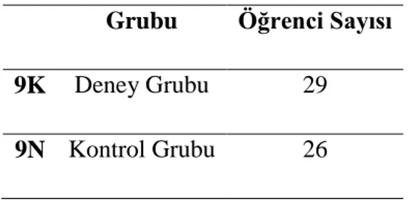 Tablo 8. Deney ve Kontrol Gruplarının Ayrımı 