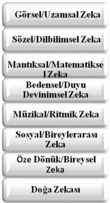 Şekil 2: Gardner’e Göre Zekâ Türleri 