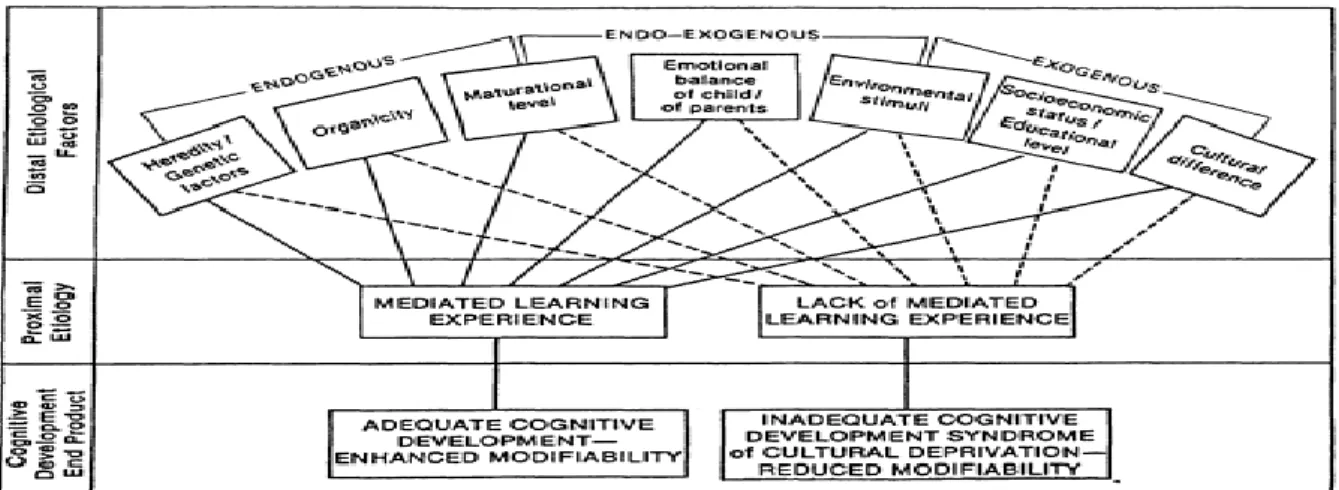 Figure 1. Distal and proximal etiologies. Feuerstein, R., Rand, Y., &amp; Rynders, E. J