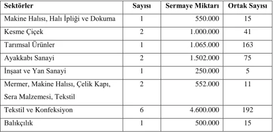 Tablo 2.2.Türkiye‟de SDTġ‟lerin Sektörler Ġtibariyle Dağılımı 