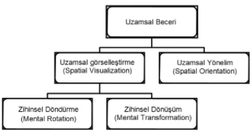 Şekil 3. Tartre (1990)’nin oluşturduğu uzamsal becerinin bileşenleri 