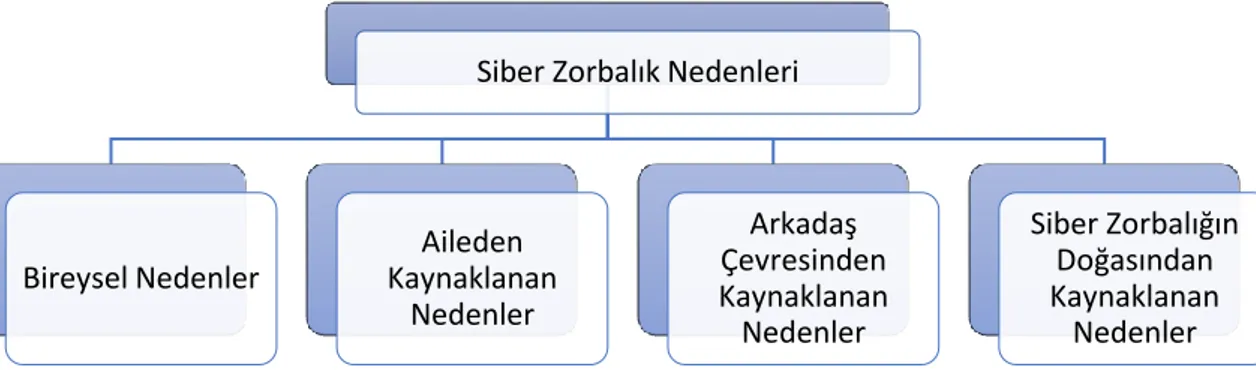 Şekil 2.1. Siber zorbalık nedenleri 