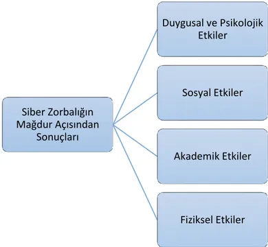 Şekil 2.2. Siber zorbalığın mağdur açısından sonuçları 