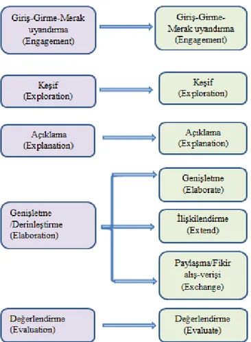 ġekil 2.3 5E Öğrenme Modelinden 7E Öğenme Modeline Geçiş (Bybee, 2003). 