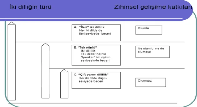 Şekil 1.  Eşik Düzey Varsayımı'nda iki dillilik 