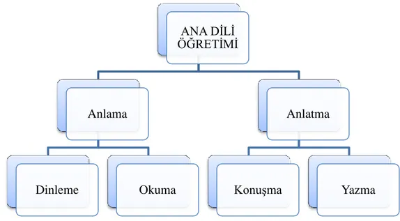 Şekil 2. Temel dil becerileri 