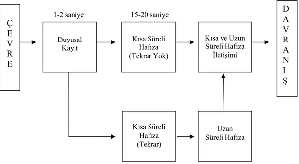 Şekil 5:  Bilgi İşleme (Ataman, 2004:304).    