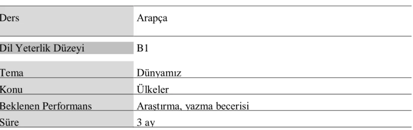 Tablo 3: Proje Örneği 