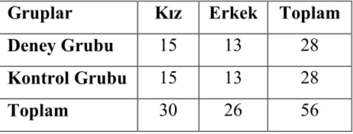 Tablo 4:Çalışma Gruplarının Cinsiyete Göre Dağılımı