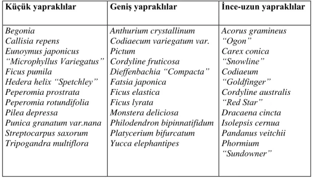 Çizelge 3. Yaprak Formlarına Göre İç Mekan Bitkileri (Yazgan, Uslu ve Özyavuz  2009, s.18)