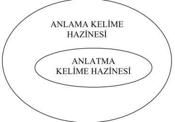 Şekil 1. Kelime hazinesinin kategorileri  