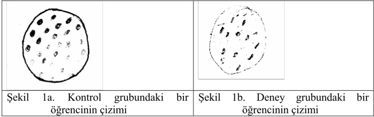 Şekil 1a. Kontrol grubundaki bir  öğrencinin çizimi 