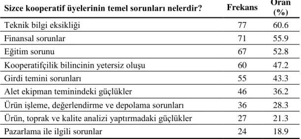 Tablo 10. Kooperatif Üyelerinin Temel Sorunları  