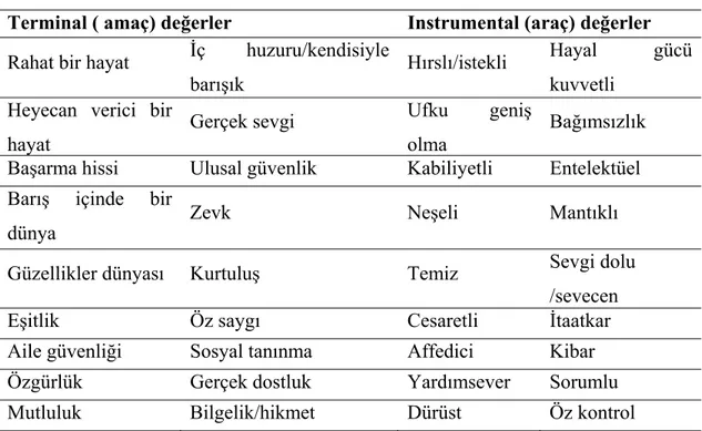 Tablo 6: Erol Güngör’e Göre Değer Sınıflandırması  Değer Grupları Açıklama 