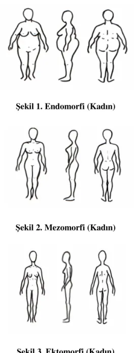 Şekil 1. Endomorfi (Kadın)  