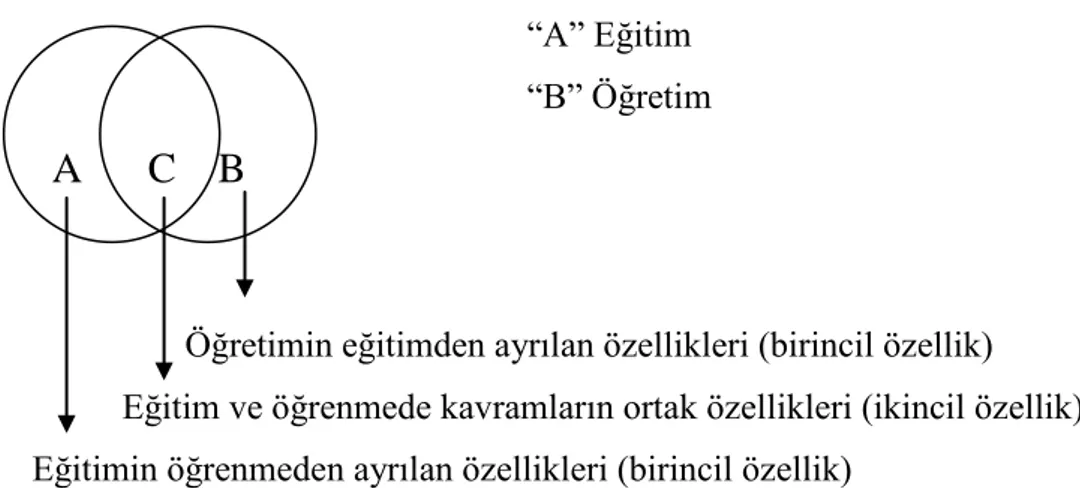 ġekil 1. Bir Özellik Birden Fazla Kavramın Özelliği Olabilir (Gemici, 2008, s. 128) 