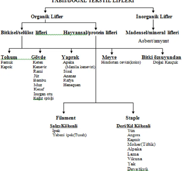 Şekil 7. Tabii/Doğal liflerin elde edildiği kaynağa göre sınıflandırılması  