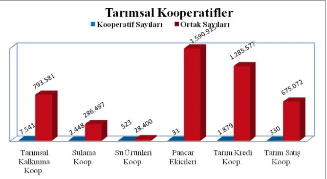 Şekil 4.4.1.1. Tarımsal Kalkınma Kooperatifleri ve Ortak Sayıları 