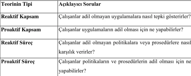 Tablo 2: Adalet Teorisi Kategorilerini Açıklayan Sorular 