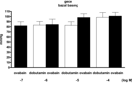 Grafik 3. Gece gruplarının, grupiçi bazal sol ventrikül basınçlarının karşılaştırılması