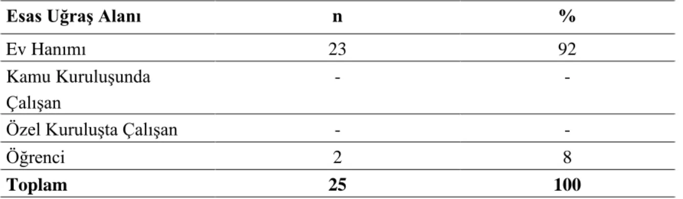 Tablo 4. Bireylerin Mesleklerine Göre Dağılımı 