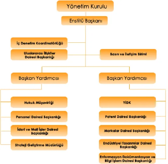 ġekil 1.  Türk Patent Enstitüsü organizasyon şeması 