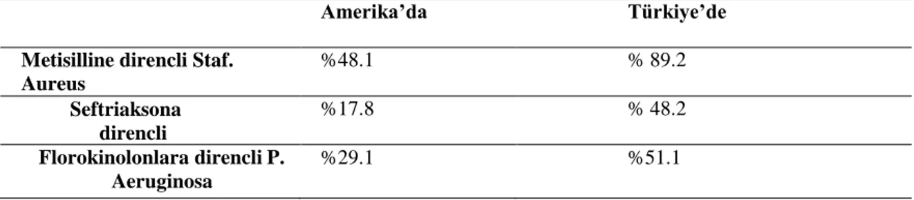 Tablo 3. ABD ve Türkiye’de Antibiyotik Dirençlerinin Kıyaslanması  (Leblebicioğlu, 2007)  Amerika’da  Türkiye’de 