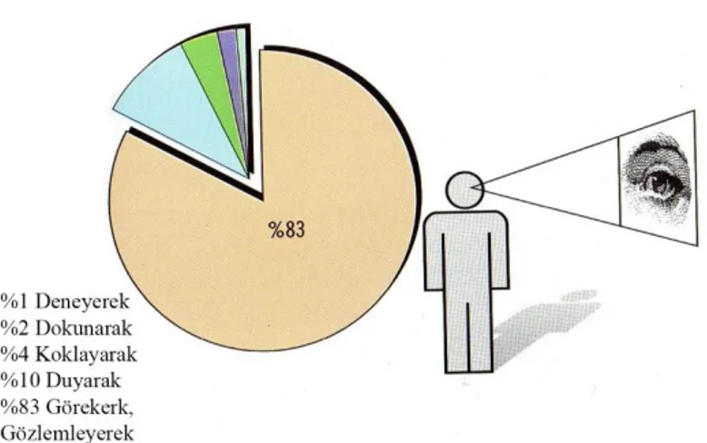 Şekil  2.13.    İnsanlar  %  83  oranında  görerek,  gözlemleyerek  öğrenir.  Uçar,  T