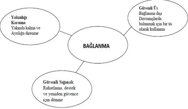 Şekil  2:  Bağlanmanın  Tanımlayıcı  Yönleri  (Çağdaş,  A.  &amp;  Şahin  Seçer,  Z.  (2007)