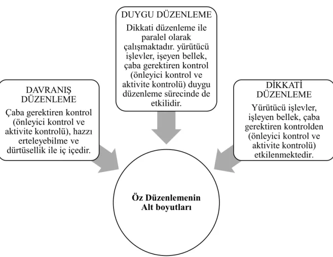 Şekil 1. Öz Düzenleme ve Alt Boyutlarının Kavramsal İçerikleri. Fındık Tanrıbuyurdu, E