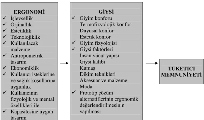 ġekil 1: Ergonomi ve Giysi Arasındaki ĠliĢki 