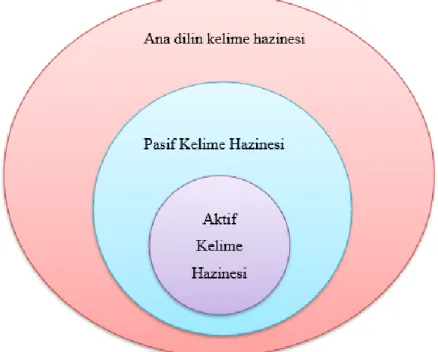 Şekil 1. Kelime Hazinesi Kümesi 