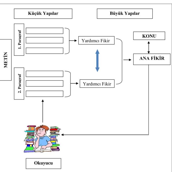 Şekil 1.  Süreçsel Modelle Metin Anlama Aşamaları 