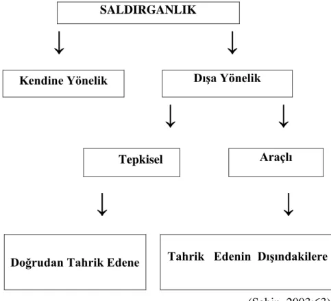 ġekil 4. Sporda Saldırganlığın Yönü 