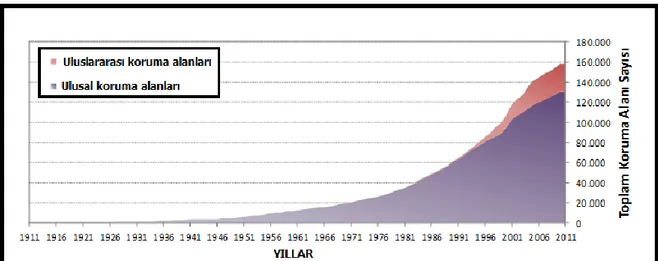 Grafik  1.2.1.1:  Dünyada  Ulusal  ve  Uluslararası  Korunan  Alanlar  Sayısındaki  Büyüme    1911-2011 Yılları Arasındaki DeğiĢimi 