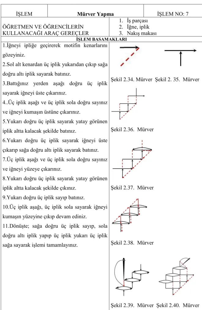 Şekil 2.34. Mürver  Şekil 2. 35.  Mürver 