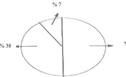 Şekil 1. İlk İzlenimler (Sampson, 1995: s.27). 